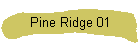 Pine Ridge 01